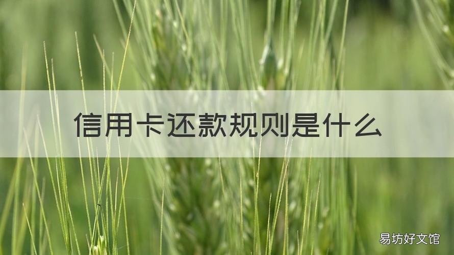 信用卡还款规则是什么 办信用卡约定还款方式是什么