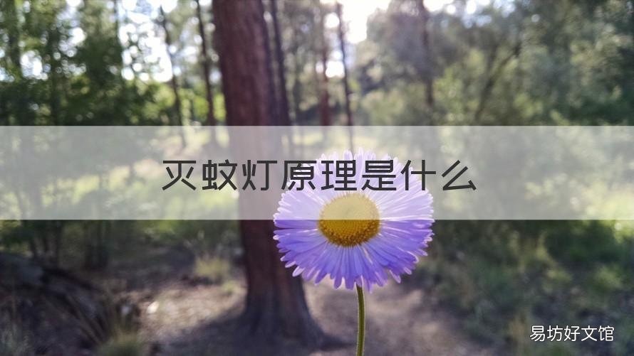 灭蚊灯原理是什么 灭蚊灯工作原理是什么?