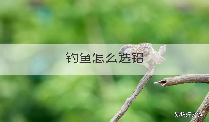 钓鱼怎么选铅 钓鱼用的铅