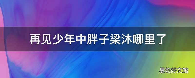 再见少年中胖子梁沐哪里了 再见少年那个胖子