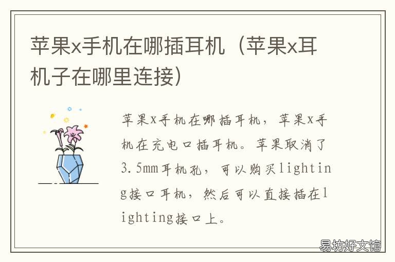 苹果x手机在哪插耳机 苹果x手机耳机插哪里