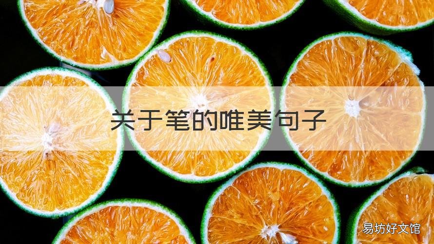 关于笔的唯美句子 描写笔唯美的句子