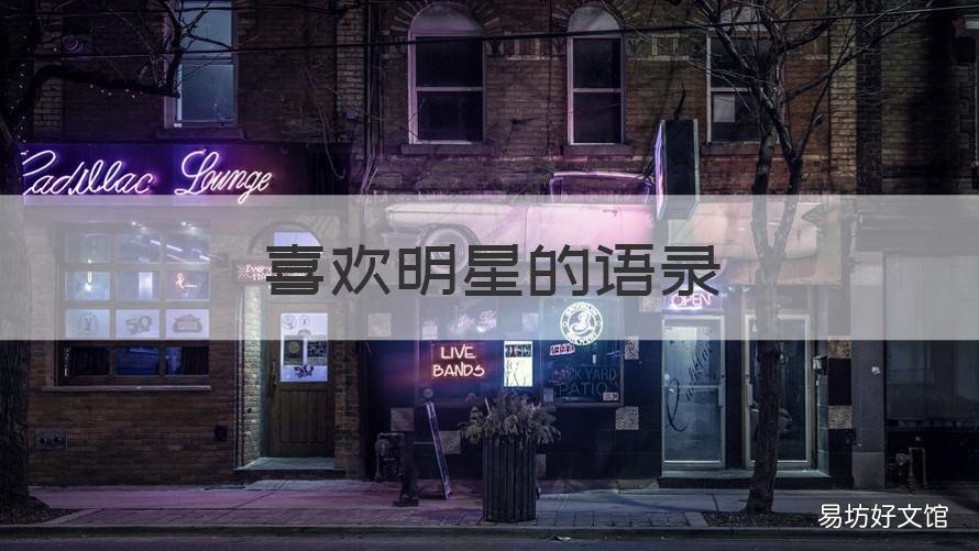喜欢明星的语录 明星语录大全经典语录