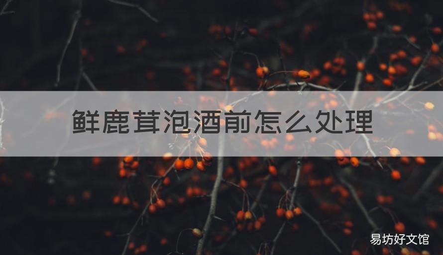 鲜鹿茸泡酒前怎么处理 干鹿茸泡酒前处理方法图解
