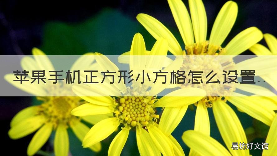 苹果手机正方形小方格怎么设置 苹果手机小正方形怎么设置