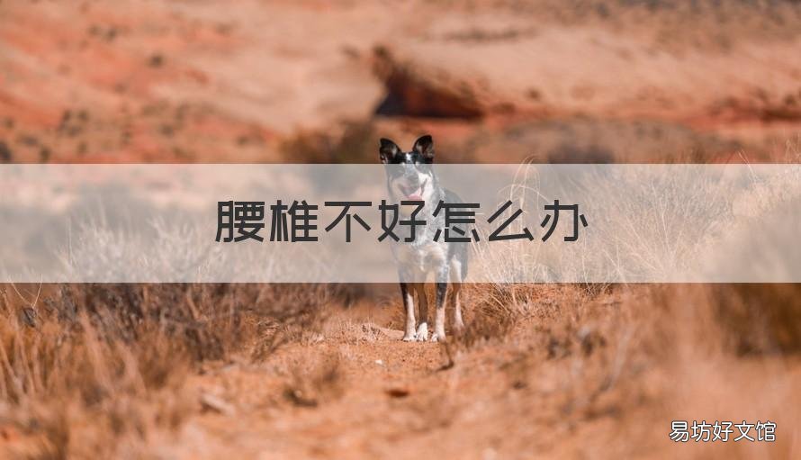 腰椎不好怎么办 腰椎不好怎么办?
