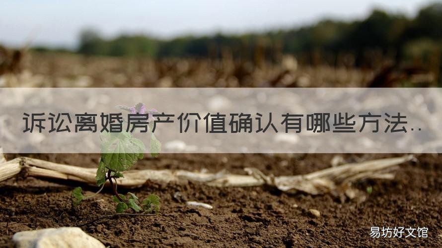 诉讼离婚房产价值确认有哪些方法 离婚时财产价值怎么评估