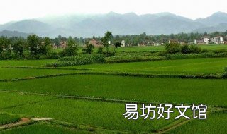 长x宽x多少等于一亩 长x宽x多少等于一亩18.3米长宽1.8米等于多少亩