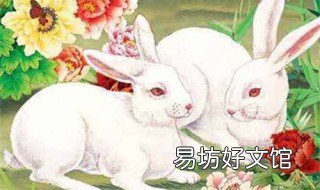 75年兔一生几次婚姻