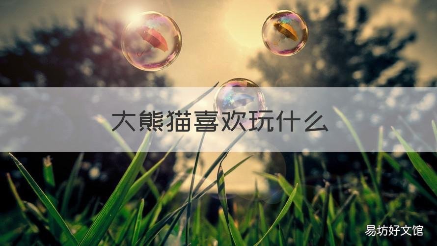 大熊猫喜欢玩什么 大熊猫喜欢玩些什么