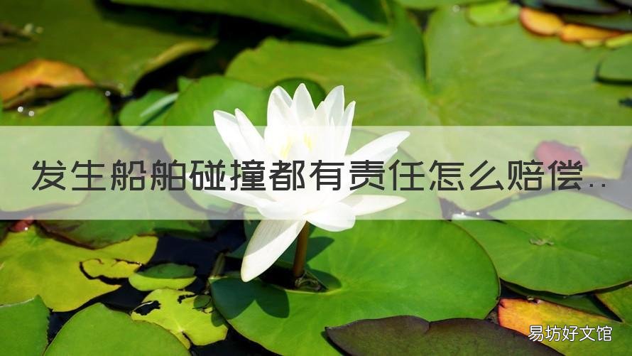 发生船舶碰撞都有责任怎么赔偿 碰撞船责任认定