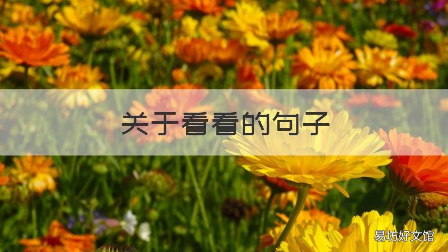 关于看看的句子 用看看,看看,看看写句子