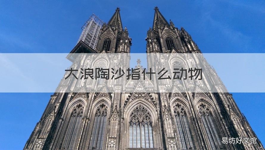 大浪陶沙指什么动物 大浪淘沙猜一种动物