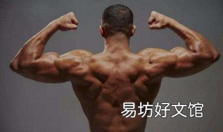 下背部肌肉锻炼动作有哪些 练下背部肌肉的动作