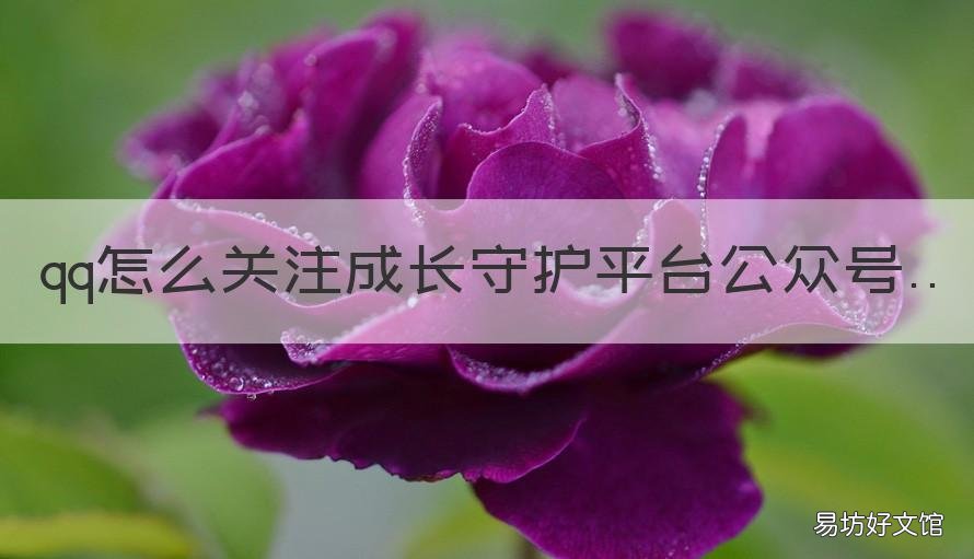 qq怎么关注成长守护平台公众号 手机qq怎么关注成长守护平台公众号