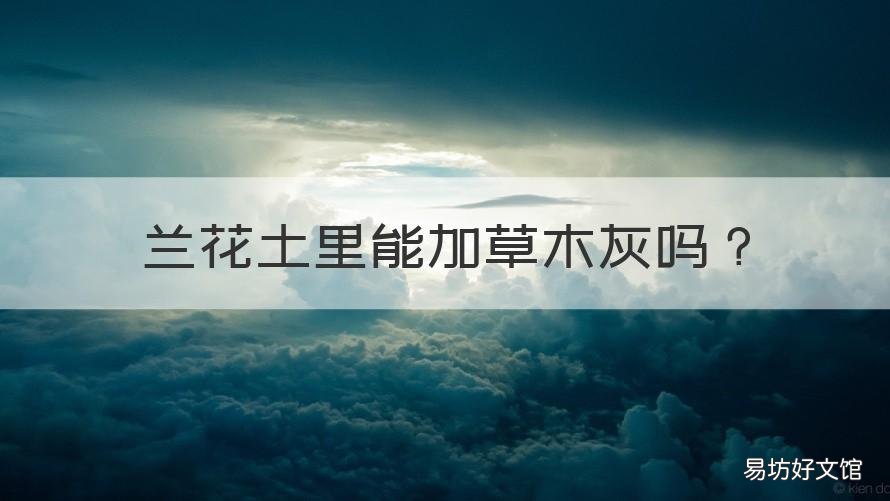 兰花土里能加草木灰吗 兰花可以用草木灰当盆土吗