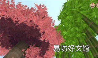 迷你世界生存中如何快速找到桃林 迷你世界生存中如何快速找到雨林