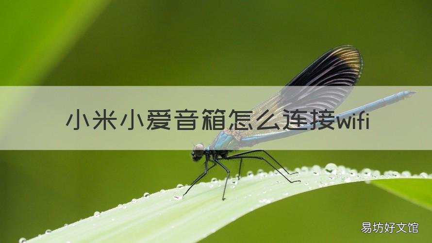 小米小爱音箱怎么连接wifi 小米小爱音箱怎么连接手机热点