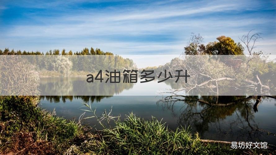 a4油箱多少升 a4油箱多少升 2.0t