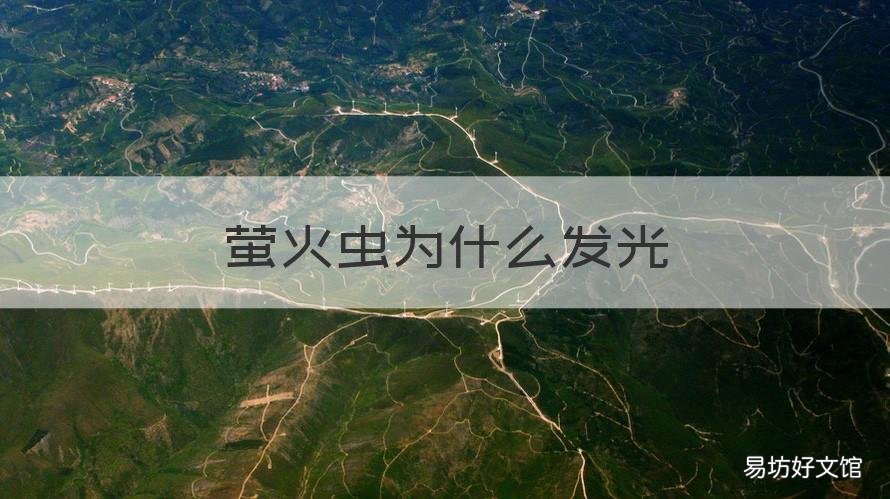 萤火虫为什么发光 萤火虫为什么发光发亮