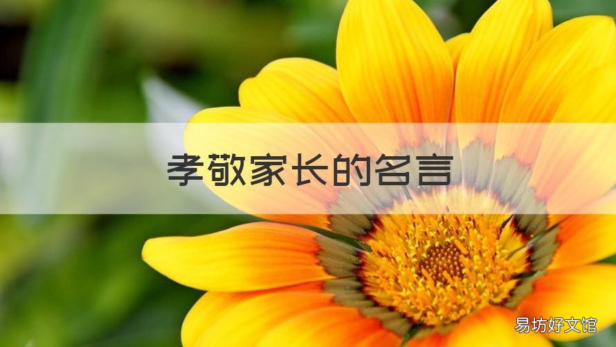 孝敬家长的名言 孝敬家长的名言名句大全