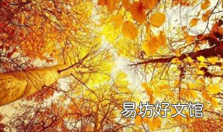 形容秋风的句子 形容秋风的句子幽静的山谷里空气清新,超级凉快[呲牙]