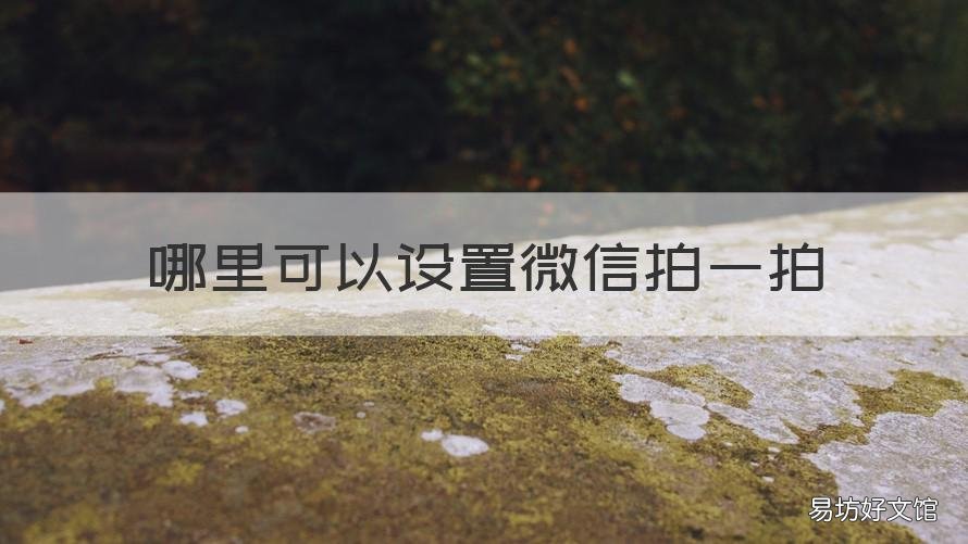 哪里可以设置微信拍一拍 微信拍一拍在哪里可以设置