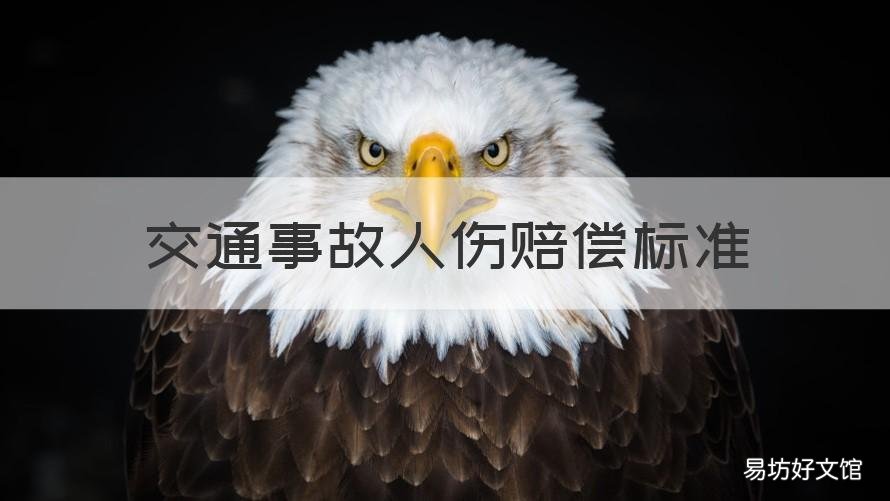 交通事故人伤赔偿标准