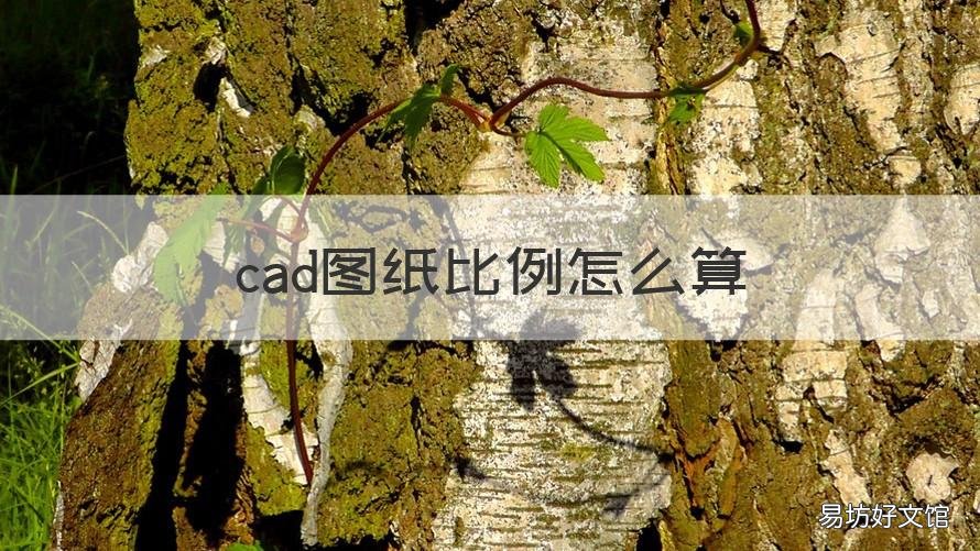 cad图纸比例怎么算 cad施工图比例怎么算