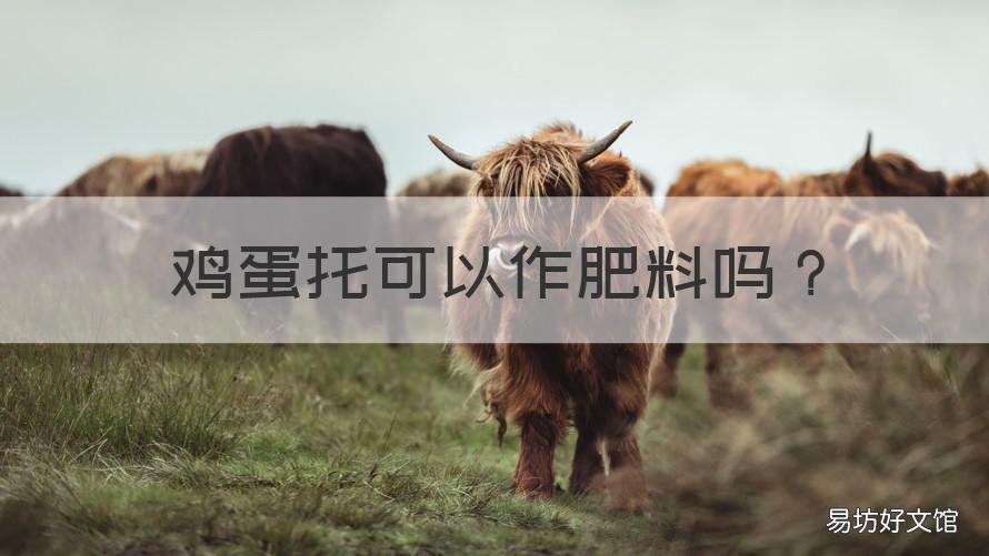 鸡蛋托可以作肥料吗 鸡蛋可以当做肥料吗