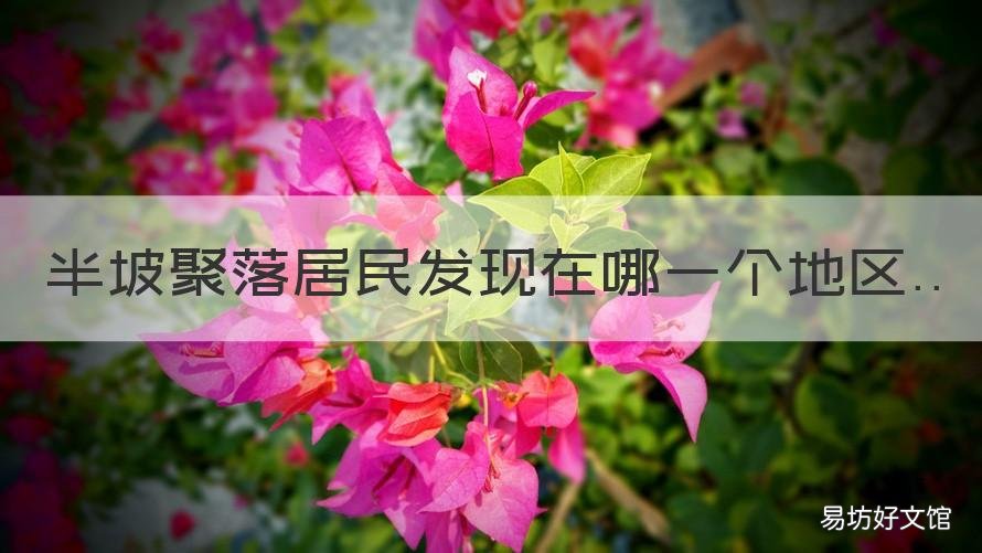 半坡聚落居民发现在哪一个地区 半坡聚落位于哪里