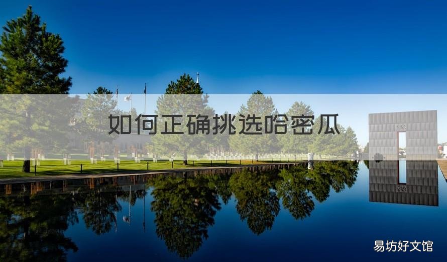如何正确挑选哈密瓜 哈密瓜的怎么挑选