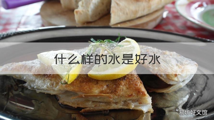 什么样的水是好水 喝什么水最好?