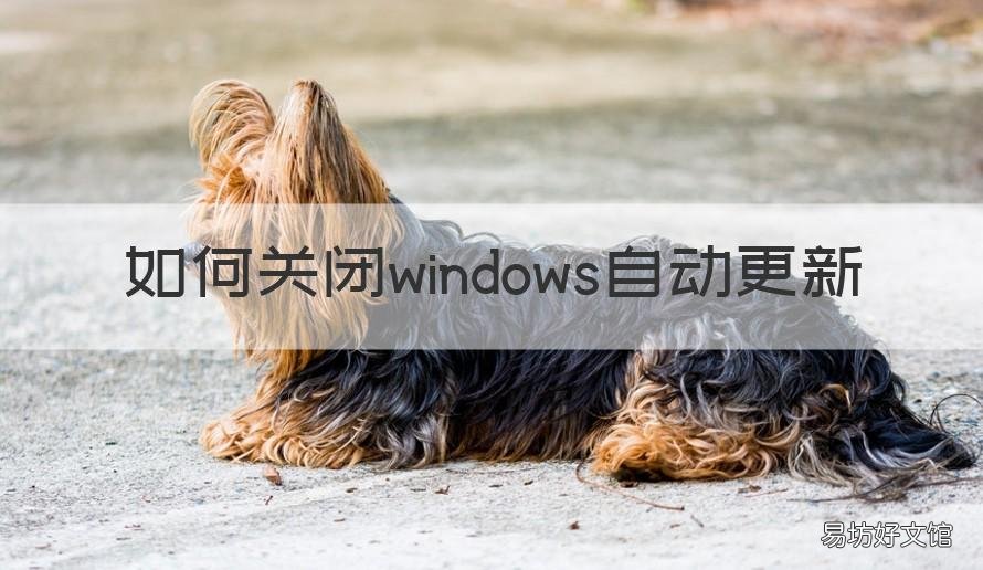 如何关闭windows自动更新 怎么关闭自动更新windows