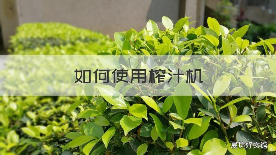 如何使用榨汁机 如何使用榨汁机做奶昔
