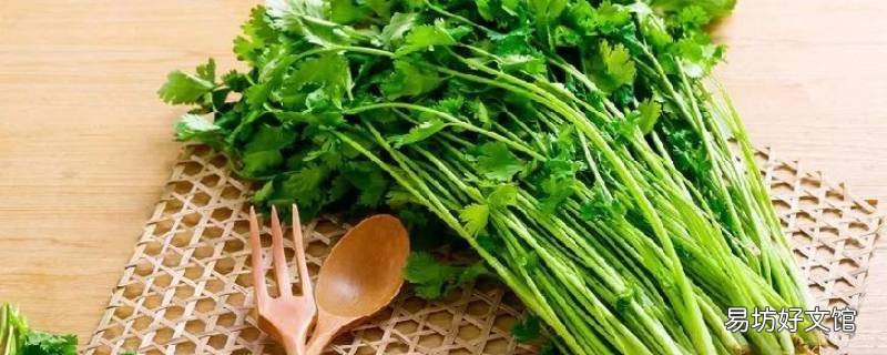 香菜和盐须一样吗 香菜和盐水的区别