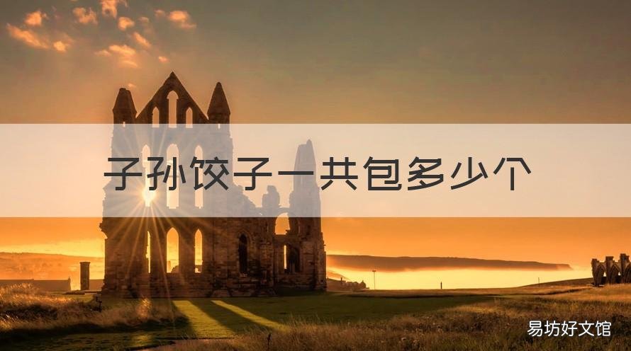 子孙饺子一共包多少个 包饺子几个