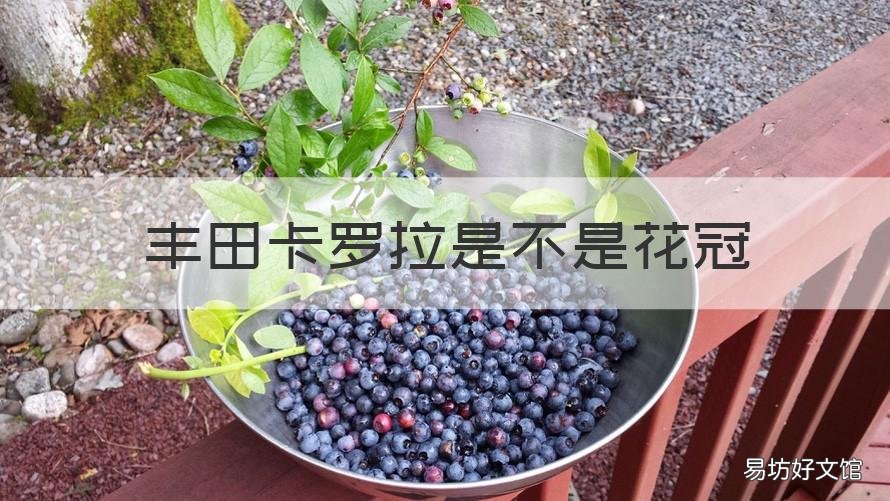 丰田卡罗拉是不是花冠 丰田卡罗拉是不是花冠车型
