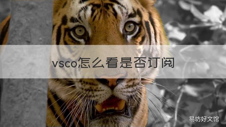 vsco怎么看是否订阅 怎么看vsco有没有订阅