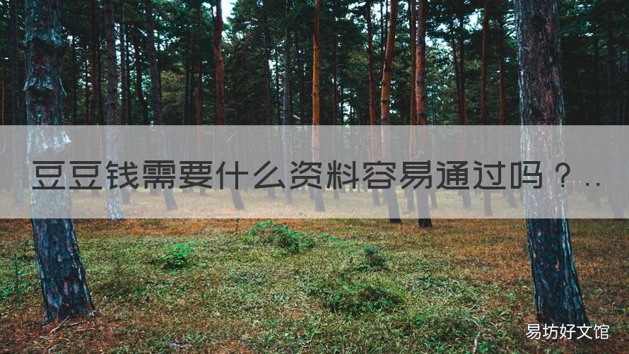 豆豆钱需要什么资料容易通过吗 豆豆钱怎么看自己填写的资料