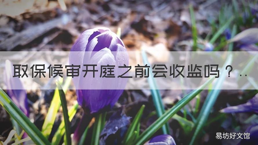 取保候审开庭之前会收监吗 开庭之前取保候审会被收监吗