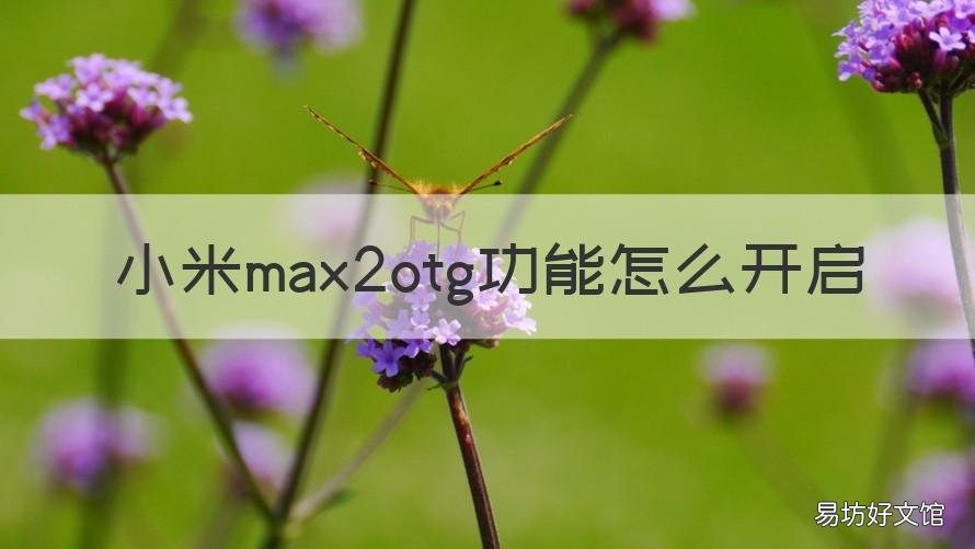 小米max2otg功能怎么开启