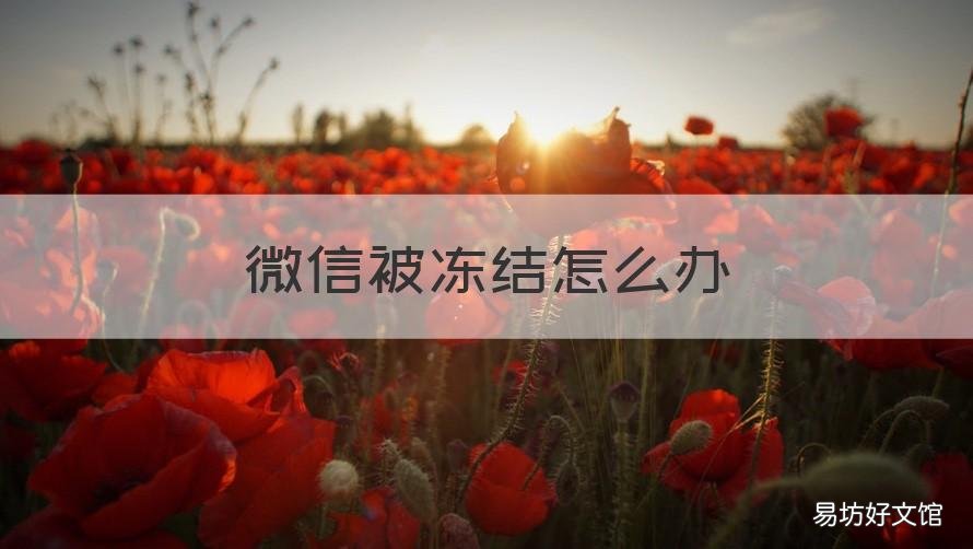 微信被冻结怎么办 诉前保全微信被冻结怎么办