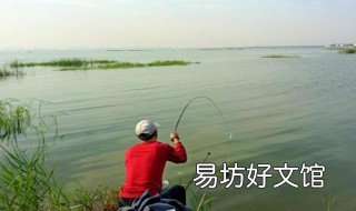 钓大鱼技巧 大镖客2钓大鱼技巧