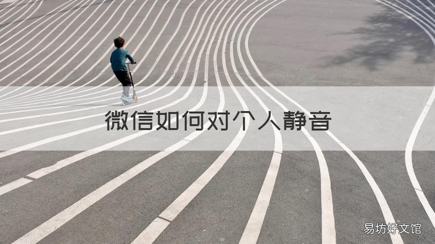 微信如何对个人静音 微信个人怎么设置静音