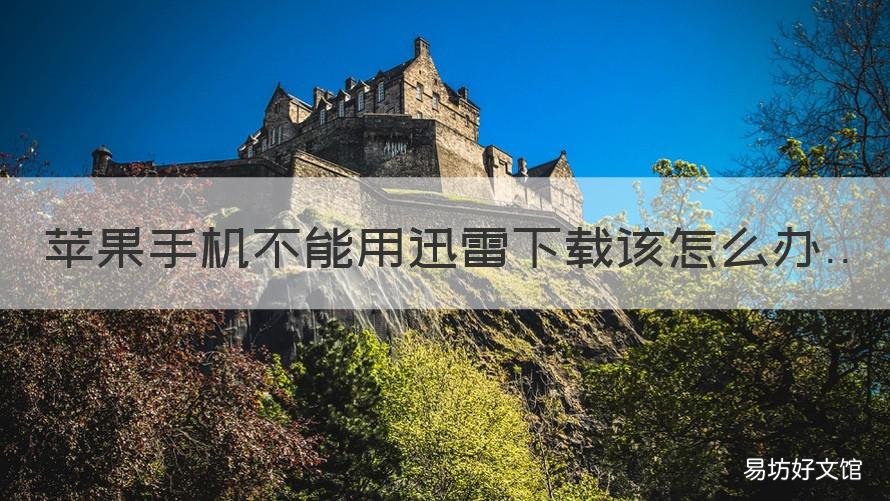 苹果手机不能用迅雷下载该怎么办 苹果手机无法用迅雷下载