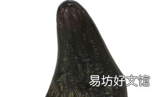 图 犀牛角介绍一下 犀牛角的种类