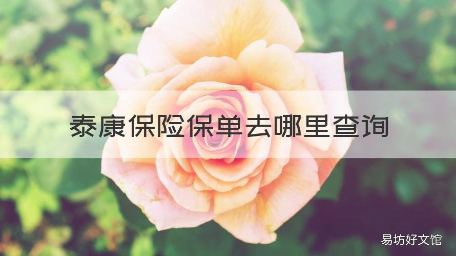 泰康保险保单去哪里查询 泰康保险保单查询入口