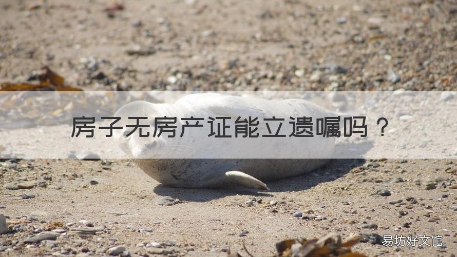 房子无房产证能立遗嘱吗 没有房产证可以立房产遗嘱吗