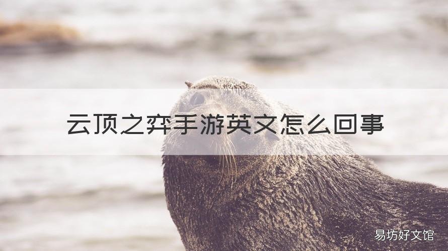 云顶之弈手游英文怎么回事 云顶之弈手游打不了英文